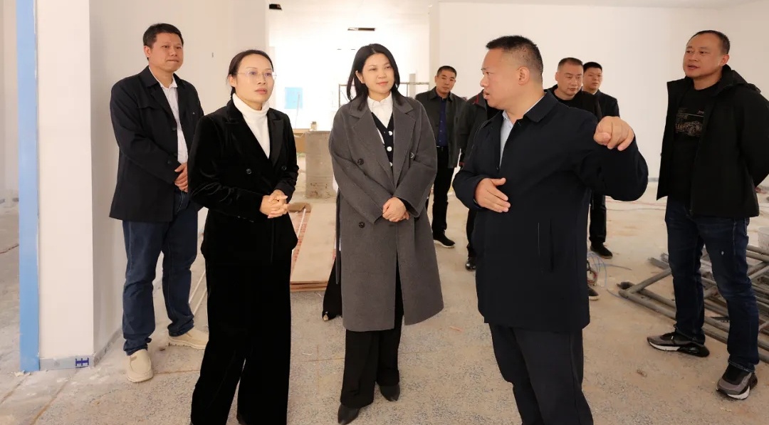 丁芬到衡山縣、雁峰區調研督導群眾身邊不正之風和腐敗問題集中整治工作